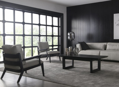 Cadeira de luxo com estrutura preta