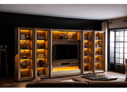 Luxuosa parede de sala de estar com lareira e mesa de centro