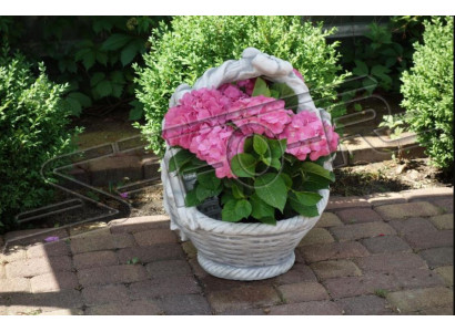 Blumenkübel Pflanz Kübel Dekoration Natur Garten Figur Vasen Blumentöpfe
