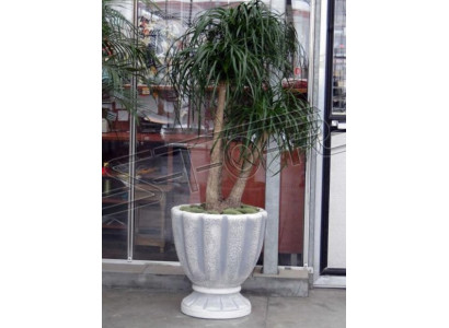 Design Blumentopf Dekorative Top Planz Kübel Gefäß Töpfe Figur Gesicht