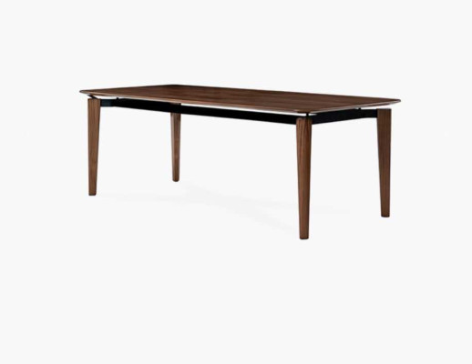 Esstisch  Esszimmer Tische Modern Luxus Tisch Elegantes Design 210x100cm