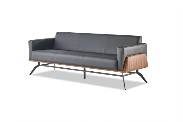 Sofagarnituren Schwarz Braun Ledersofas 3-Sitzer 2-Sitzer Sessel Modern