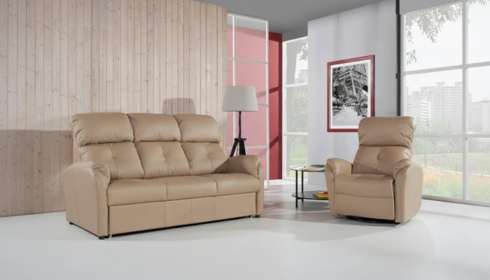 Sofa 2 Sitzer Design Sofas Polster Couchen Leder Relax Moderne Sitz