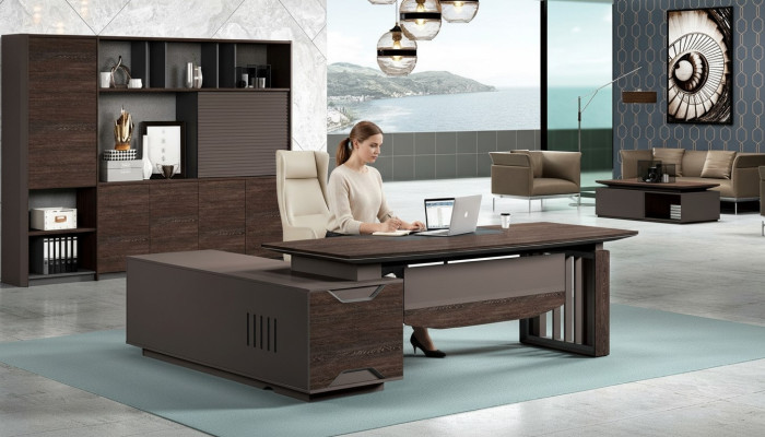 Aktenschrank Bücherregal Regale Schrank Luxus Büro Möbel Schränke