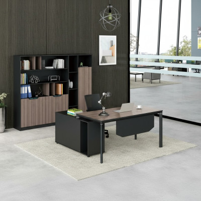 Aktenschrank Bücherregal Regale Schrank Luxus Deko Büro Möbel Schränke