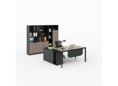 Aktenschrank Bücherregal Regale Schrank Luxus Deko Büro Möbel Schränke