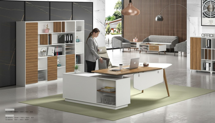 Aktenschrank Bücherregal Regale Schrank Deko Luxus Büro Möbel Schränke