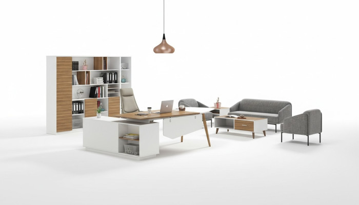 Aktenschrank Bücherregal Regale Schrank Deko Luxus Büro Möbel Schränke