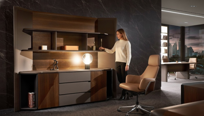 Aktenschrank Regal Schrank Büro Einrichtung Arbeitszimmer Büroschrank