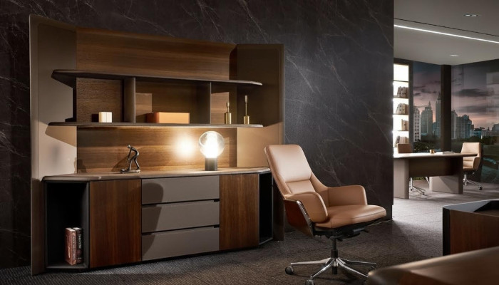 Aktenschrank Regal Schrank Büro Einrichtung Arbeitszimmer Büroschrank