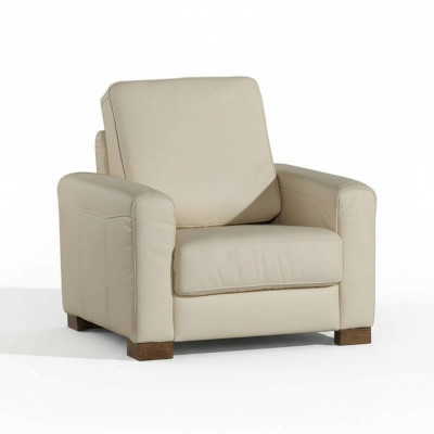 Sessel Einsitzer Lounge Sofa Fernseh Einsitzer Couch Wohnzimmer Möbel Sofas Neu