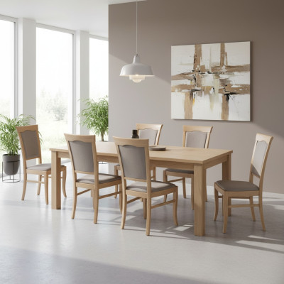 Gruppe Sessel Italienische Luxus Möbel Garnitur Esszimmerstuhl Set 6X Stühle Neu