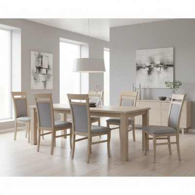 Garnitur Komplett Gruppe Wohnzimmer 6x Stück Grau Esszimmer Stuhl Set Stühle Neu