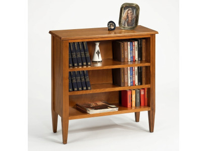 Bücherschrank Vitrine Sammlerschrank Regal Massiv Holz Mäbel Regale Schränke Neu