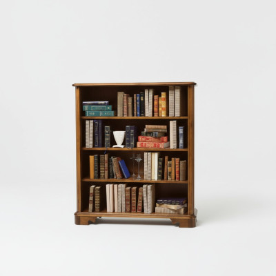 Wohnzimmer Vitrine Schrank Bücher Regal Anrichte Klassische Möbel Regale Holz