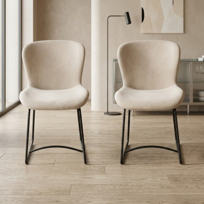 Esszimmerstuhl 2x Stühle Esszimmer Modern Stuhle Metall Design Weiß neu
