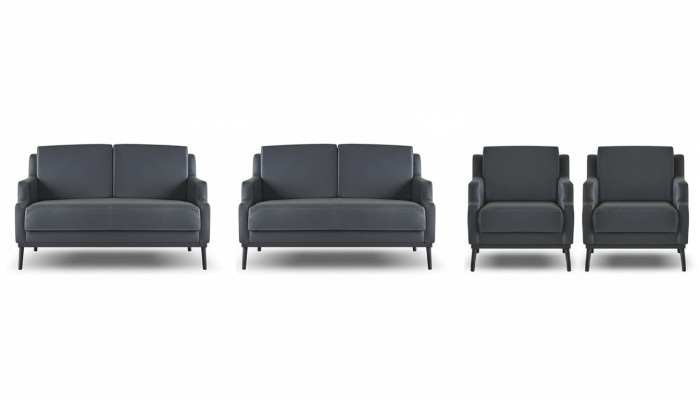 Arbeitszimmer-Set 4tlg 2x S-Sitzer 2x Sessel Dunkelgrau Einfarbig Modern