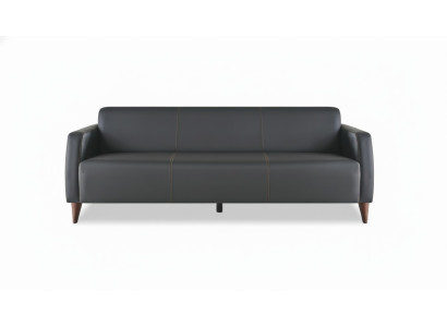 Ledersofa 3-Sitzer Sofa Schwarz Leder Holz Modern Vielseitig Weiche