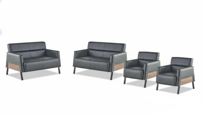 Sitzmöbel Leder Set Ledersofa 2-Sitzer Sessel Modern Schwarz Edelstahl