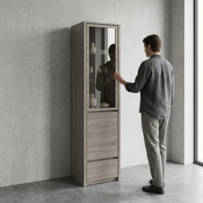 Elegante moderna vitrine cinza