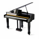 Pianos & Pianos de cauda